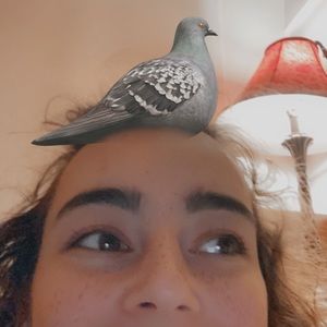 Meet your Posher, Maddie